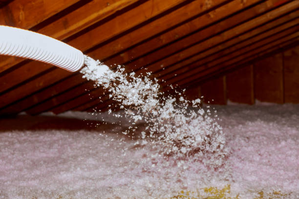 Best Batt and Roll Insulation  in Newton, TX