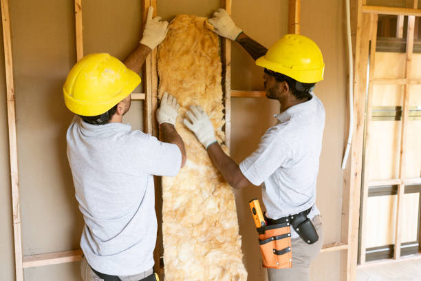 Best Wall Insulation Installation  in Newton, TX